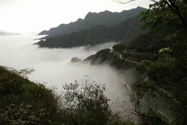 水墨汀溪雲霧景色