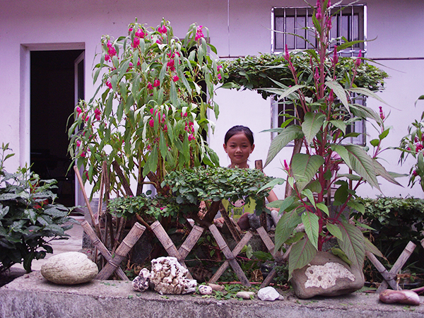 農家樂花圃