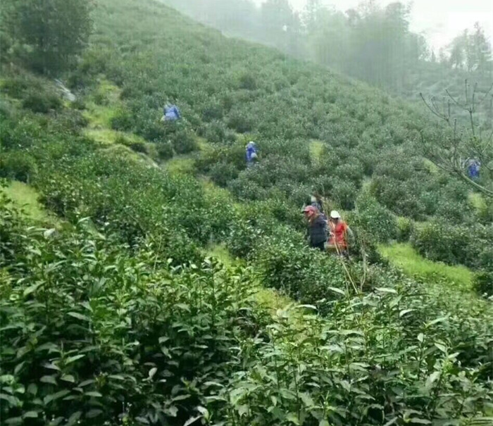 水墨汀溪汀溪蘭香